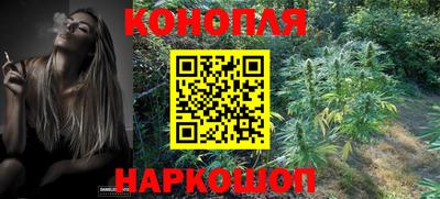 индика Пушкино