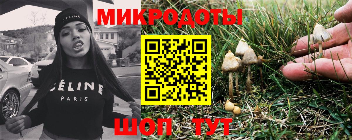 Прохладный  наркота  Псилоцибиновые грибы Cubensis  Вход с VPN  Псилоцибиновые грибы прущие грибы 